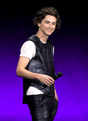 Timothee Chalamet pic #1327849