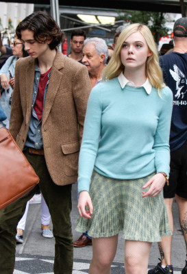 Timothee Chalamet pic #1283881