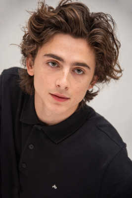 Timothee Chalamet pic #1306249