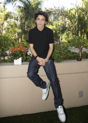 Timothee Chalamet pic #1306252