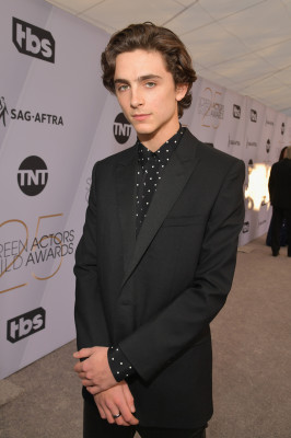 Timothee Chalamet pic #1312481