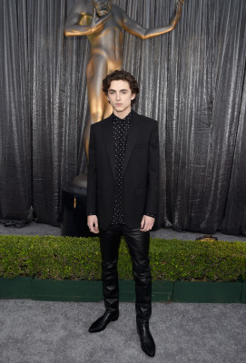 Timothee Chalamet pic #1312480