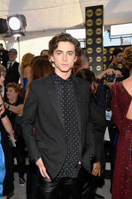 Timothee Chalamet pic #1312479