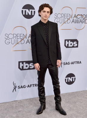 Timothee Chalamet pic #1312478