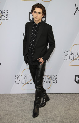 Timothee Chalamet pic #1312476
