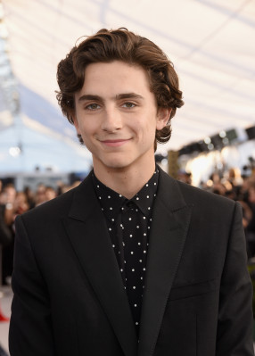 Timothee Chalamet pic #1312482