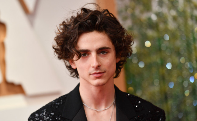 Timothee Chalamet pic #1303364