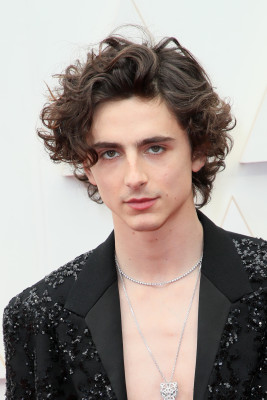Timothee Chalamet pic #1301045