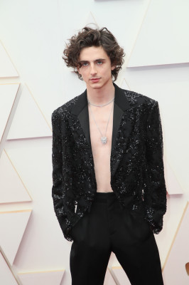Timothee Chalamet pic #1306262