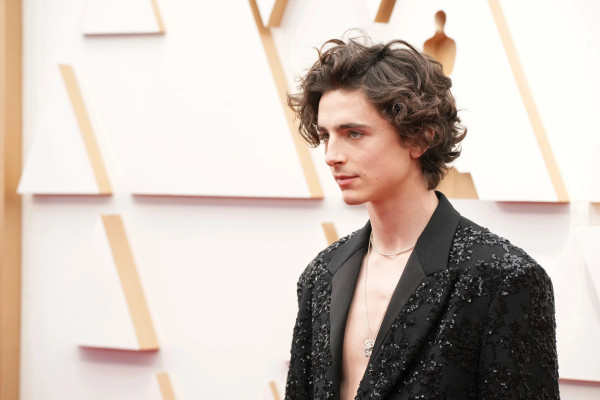 Timothee Chalamet pic #1306261