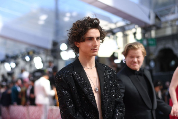 Timothee Chalamet pic #1312102