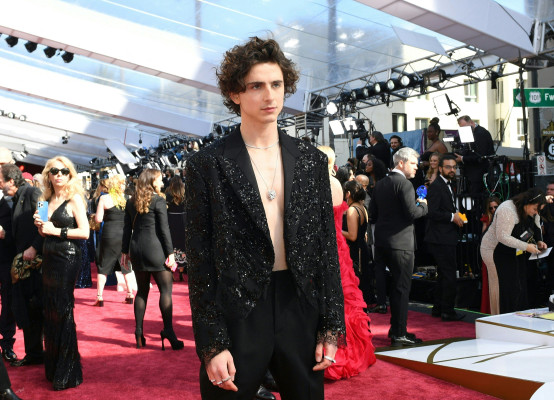 Timothee Chalamet pic #1301046