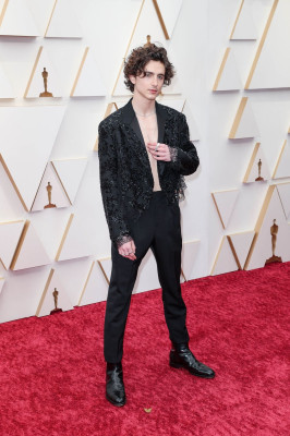 Timothee Chalamet pic #1315865