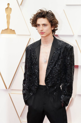 Timothee Chalamet pic #1319055