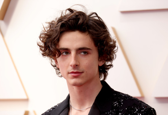 Timothee Chalamet pic #1319053