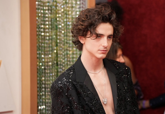 Timothee Chalamet pic #1301049