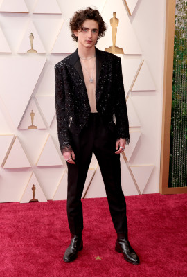 Timothee Chalamet pic #1301050