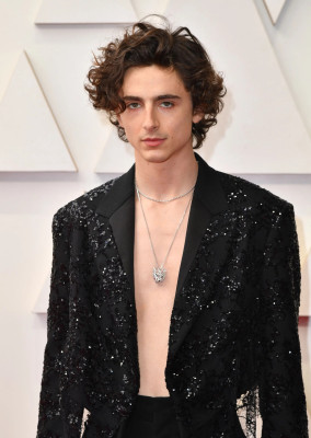 photo 25 in Timothee Chalamet gallery [id1325924] 2023-04-14 00:00:00