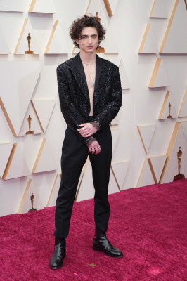 Timothee Chalamet pic #1320480
