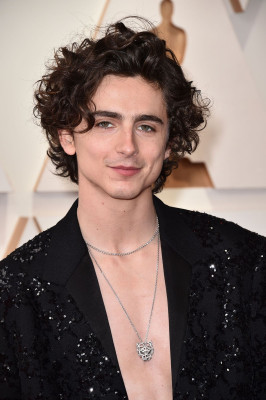 Timothee Chalamet pic #1328753