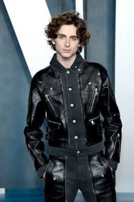 Timothee Chalamet pic #1322875