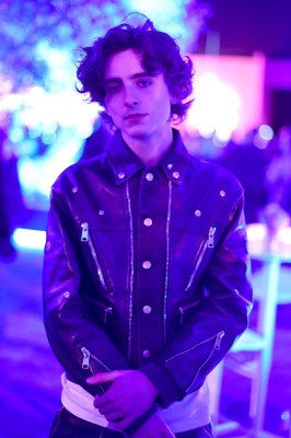photo 24 in Timothee Chalamet gallery [id1303459] 2022-06-27 00:00:00