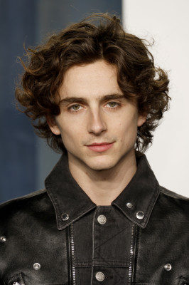 Timothee Chalamet pic #1303457