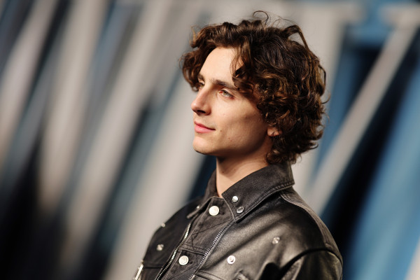 Timothee Chalamet pic #1303455
