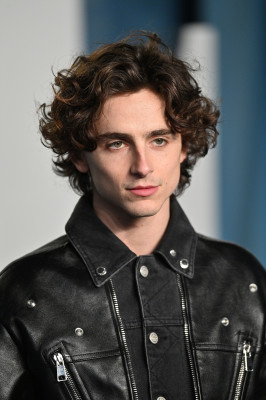 Timothee Chalamet pic #1307106
