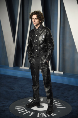 Timothee Chalamet pic #1301055