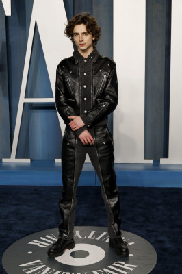 Timothee Chalamet pic #1312120