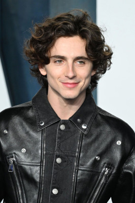 Timothee Chalamet pic #1319262