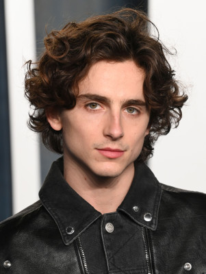 Timothee Chalamet pic #1301057