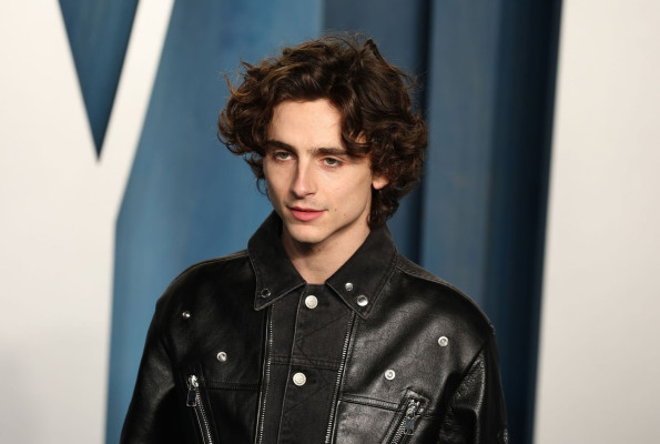 Timothee Chalamet pic #1322876