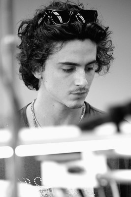 Timothee Chalamet pic #1341499