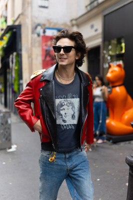 Timothee Chalamet pic #1355318