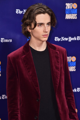 Timothee Chalamet pic #1326437