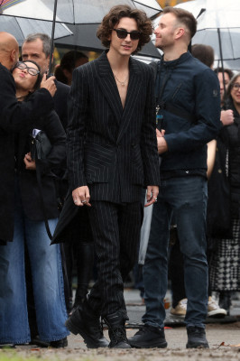photo 9 in Timothee Chalamet gallery [id1352608] 2024-06-27 00:00:00