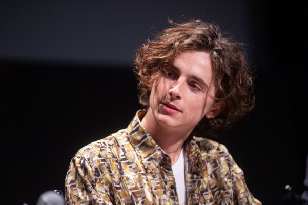 Timothee Chalamet pic #1303569