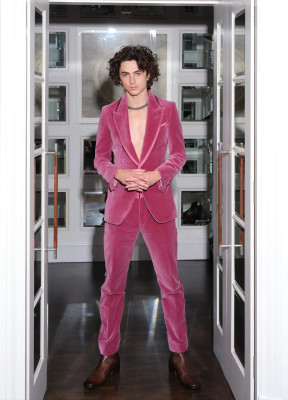 Timothee Chalamet pic #1339578