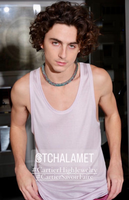 Timothee Chalamet pic #1339577