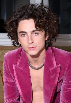 Timothee Chalamet pic #1339575