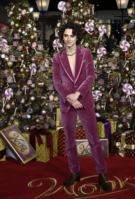 Timothee Chalamet pic #1339684