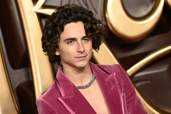 Timothee Chalamet pic #1339683