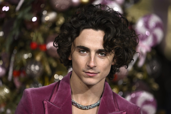 Timothee Chalamet pic #1342211