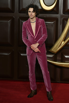 Timothee Chalamet pic #1342209
