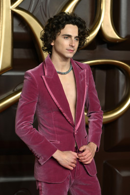 Timothee Chalamet pic #1339685