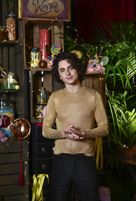 Timothee Chalamet pic #1340078