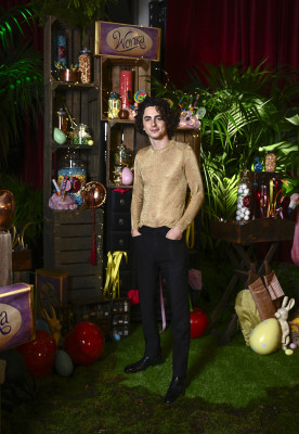 Timothee Chalamet pic #1340079