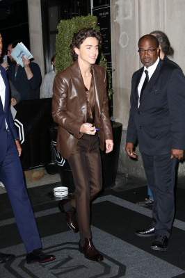 Timothee Chalamet pic #1336285